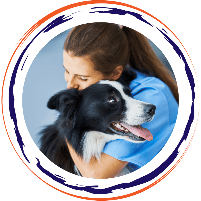 vet hug a dog