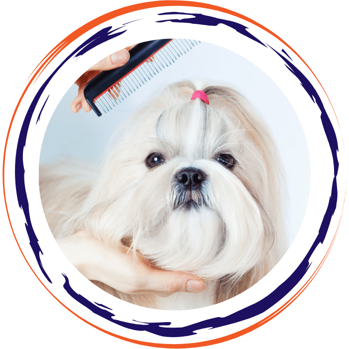 pet grooming person comb dog hair