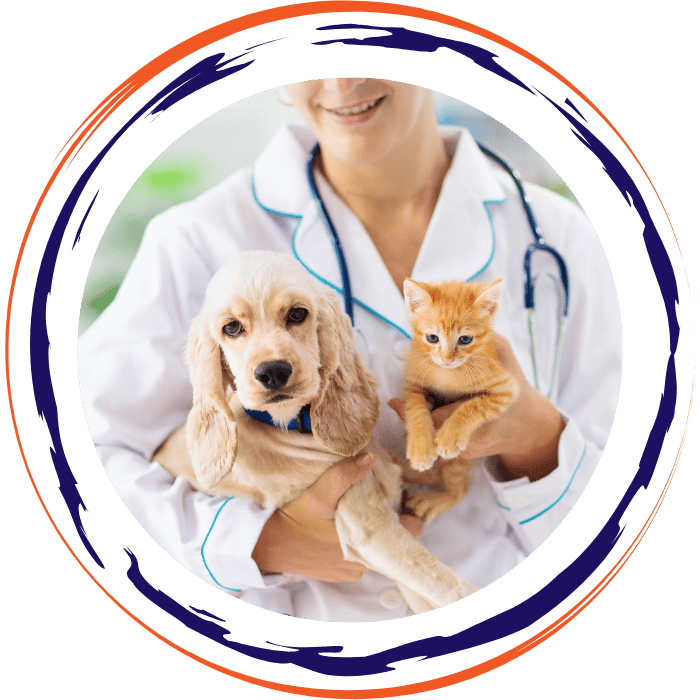 vet hold dog and cat