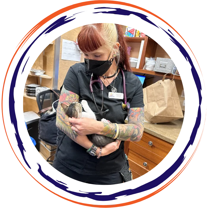 A veterinary professional in black scrubs and a face mask gently holding a small cat in an exam room.